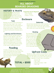 Bearded Dragon Care Sheet