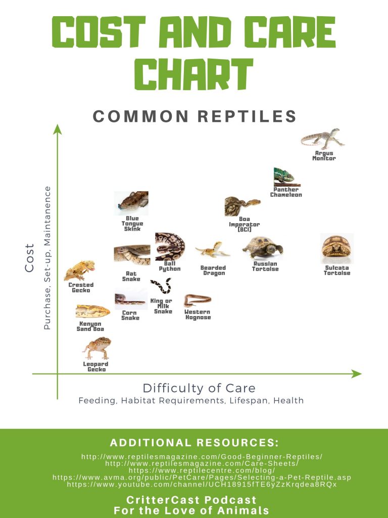 Reptile Resources | CritterCast