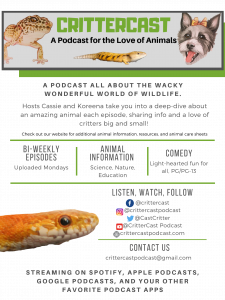 CritterCast Podcast - A Podcast for the love of animals. Hosts Koreena and Cassie take you on a deep-dive about a different animal every episode, sharing info and a love of animals big and small. Science, education, comedy. Listen on spotify, apple podcasts, google podcasts, and wherever you listen to podcasts. 