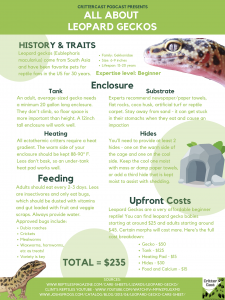 Reptile Resources – CritterCast