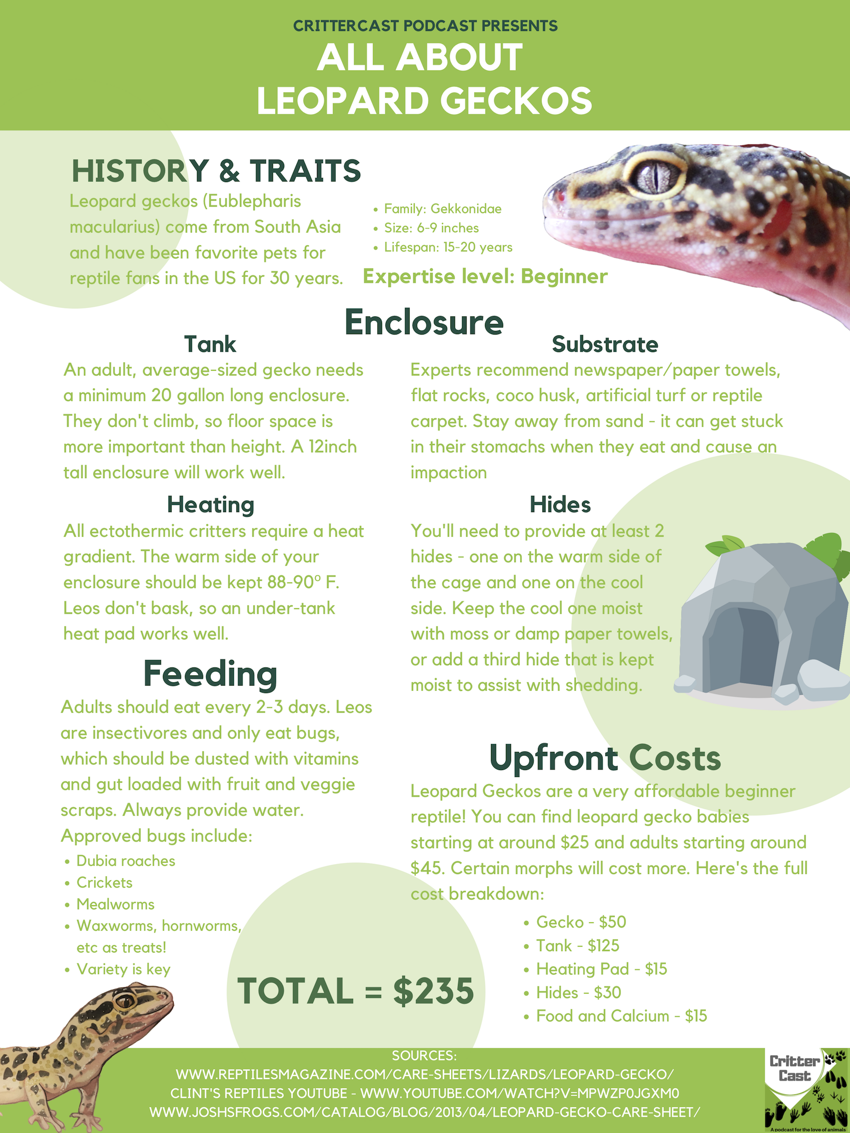 Leopard Gecko Printable Care Sheet